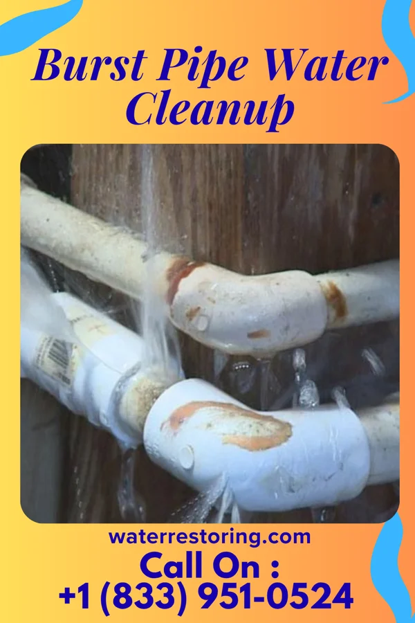 Burst Pipe Water Cleanup in Tunkhannock, PA